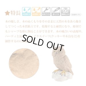 画像2: 【25%オフ！】パジコ ウッドフォルモ 500g 61179    