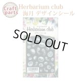 【ハーバリウムクラブ】h3 海月 HR-KRG-101 80165