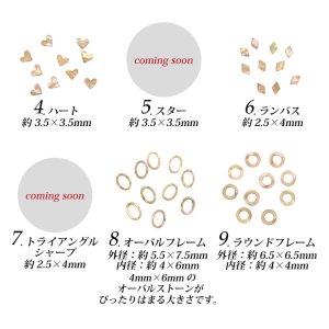 画像5: ネイルパーツ ナチュラル シェル フレーク プレート 各種 10枚入り 