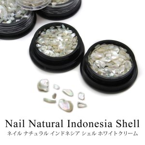画像1: ネイル ナチュラル インドネシア シェル ホワイトクリーム 全3種
