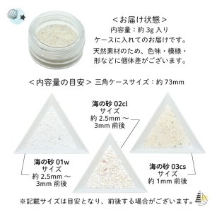 画像3: レジン パーツ 封入 海の砂 約3g ケース入り