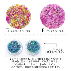 画像3: 押し花 ドライフラワー ミックス 1個 ケース入り