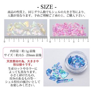 画像4: ネイル オーロラ シェル フレーク ケース入り