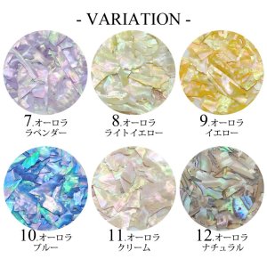 画像3: ネイル オーロラ シェル フレーク ケース入り