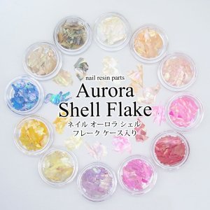 画像1: ネイル オーロラ シェル フレーク ケース入り