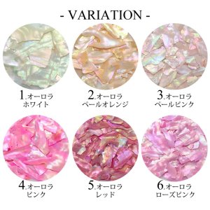 画像2: ネイル オーロラ シェル フレーク ケース入り
