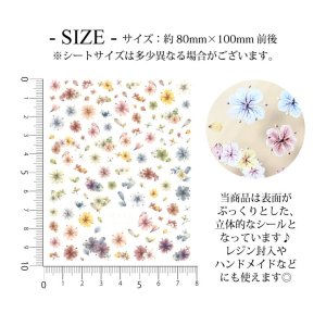 画像2: ネイルシール 立体 押し花 ドライフラワー YG-122-158