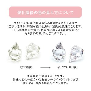 画像5: レジン液 コーティング液 美雨 グロスタイプ 10g コーティング用 コーティング剤 ツヤ出し