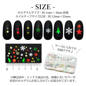 画像3: ネイル レジン ホログラム セット クリスマス