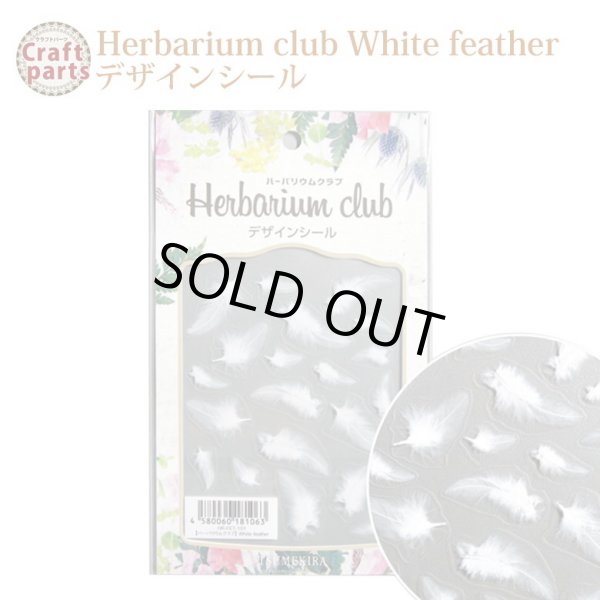 画像1: 【ハーバリウムクラブ】h14 White feather HR-FET-101 81063 (1)