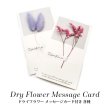 画像1: ドライフラワー メッセージカード付き 各種 1-6 (1)