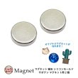 画像1: マグネット 磁石 シリコンモールド サボテン マグネット用 2個 (1)