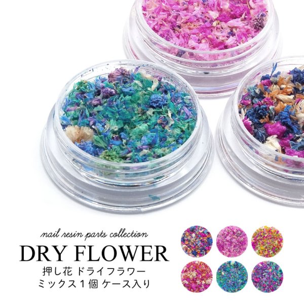 画像1: 押し花 ドライフラワー ミックス 1個 ケース入り (1)