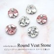画像1: ネイル ジュエリー ビジュー パーツ ラウンド Vカット ストーン 2個入り 140 (1)
