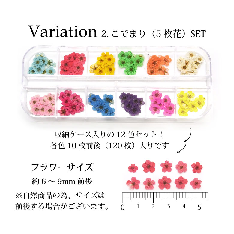 押し花 コデマリ 12色60枚セット ケース入り2 - ネイルパーツ